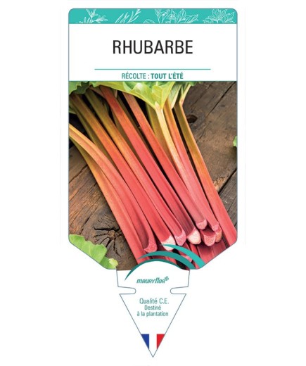 RHUBARBE