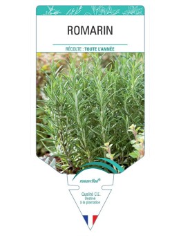 ROMARIN