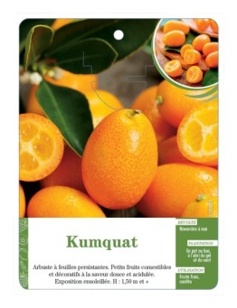 KUMQUAT