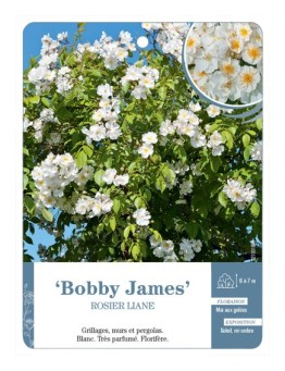 Rosier liane Bobby James