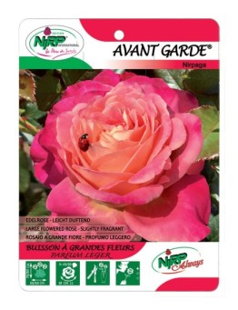 Avant Garde® Nirpaga