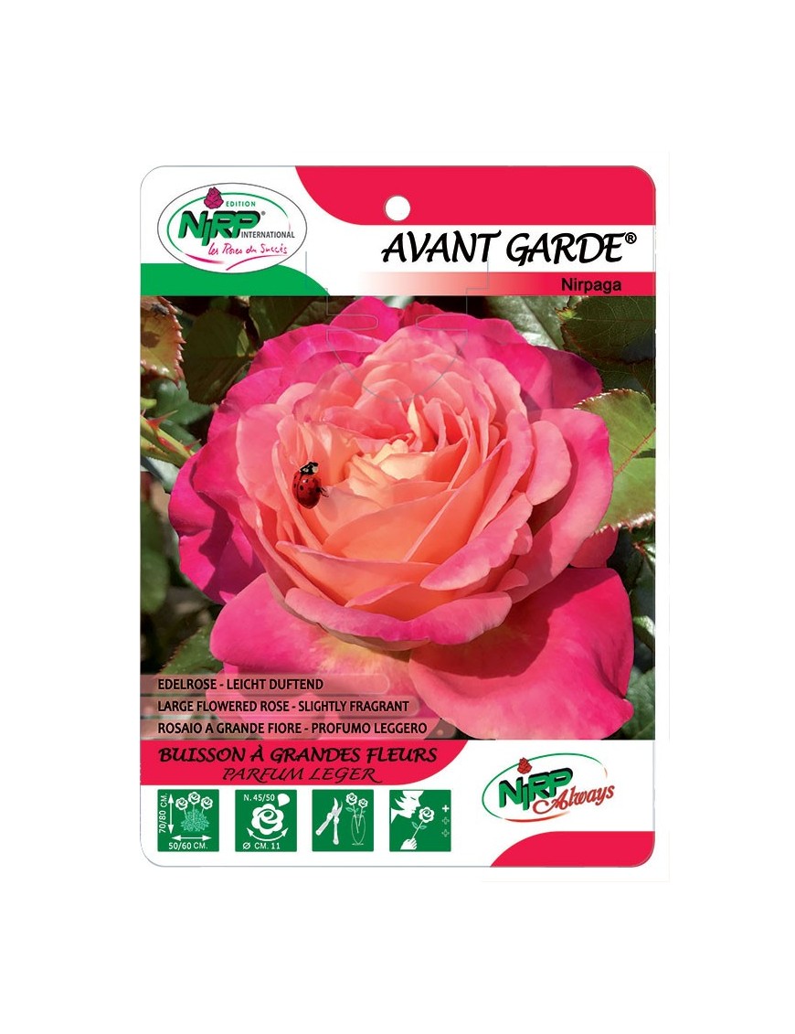 Avant Garde® Nirpaga