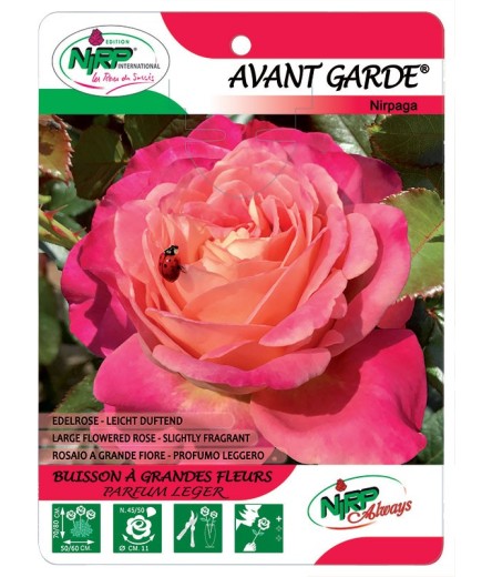 Avant Garde® Nirpaga