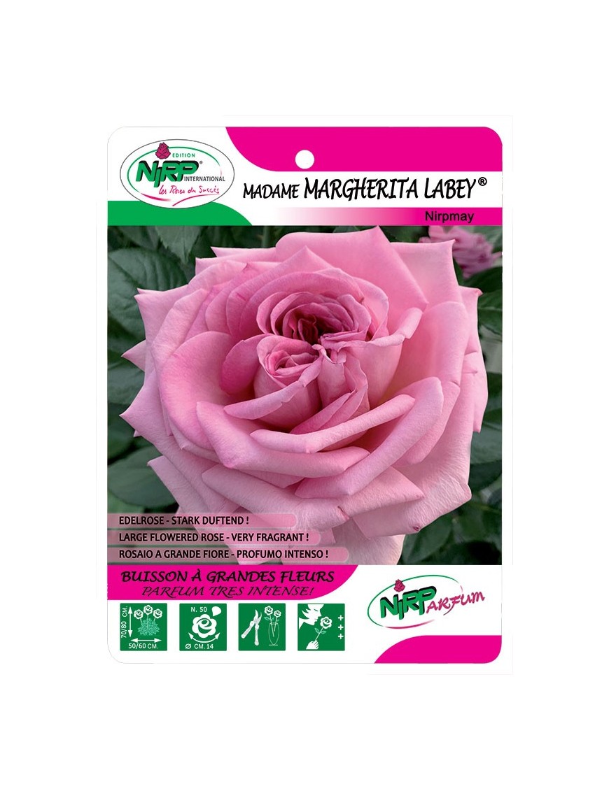 Madame Margherita Labey® Nirpmay