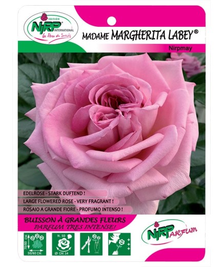 Madame Margherita Labey® Nirpmay