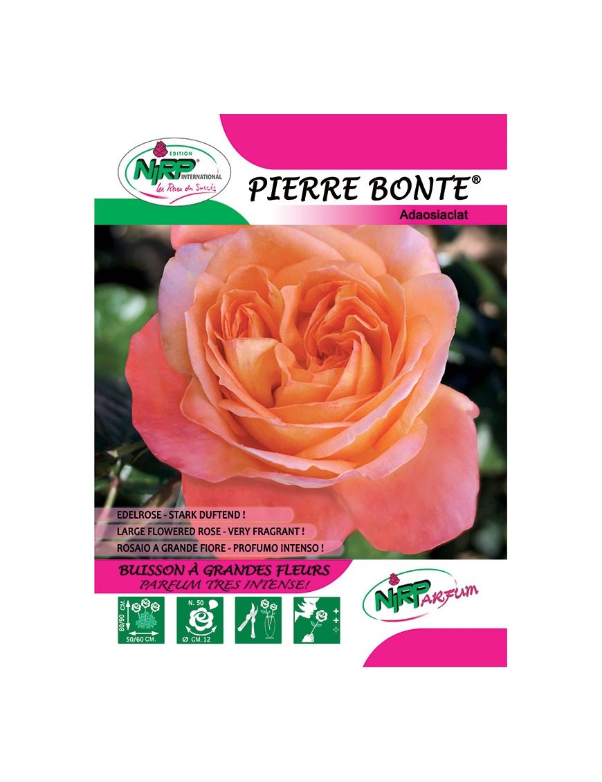 Pierre Bonte® Adaosiaclat