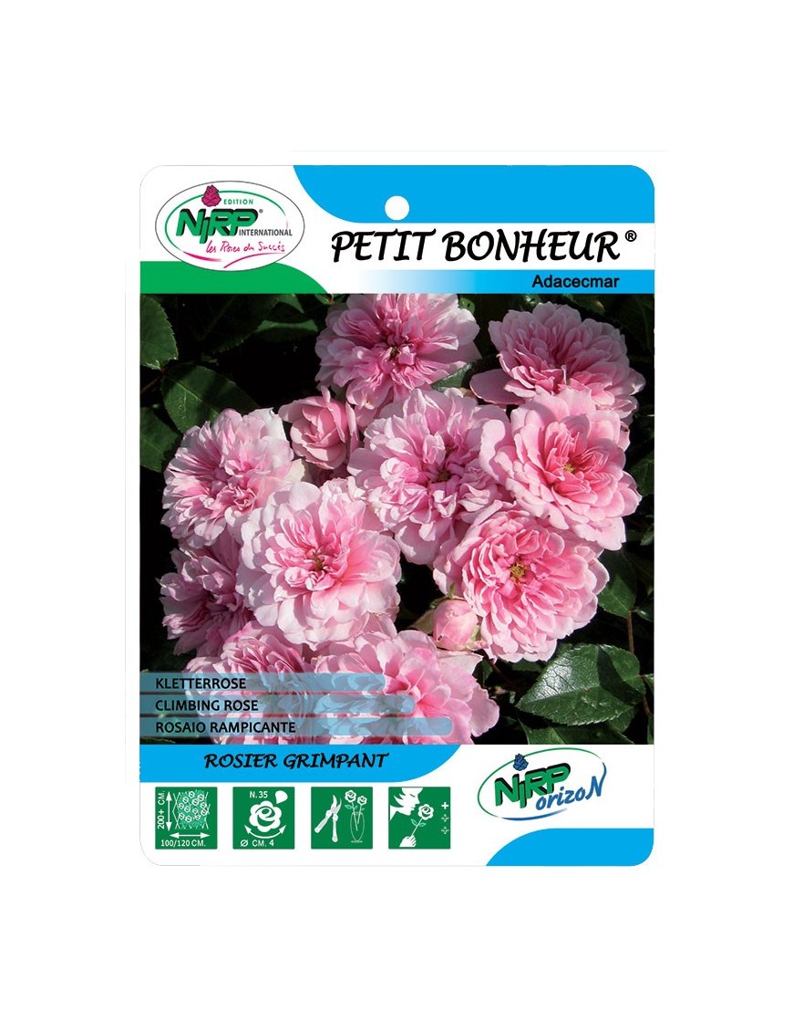 Petit Bonheur® Adacecmar