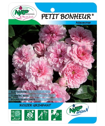 Petit Bonheur® Adacecmar