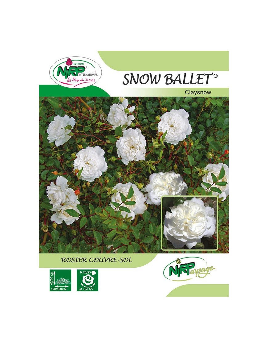 Rosier couvre-sol SNOW BALLET ® *