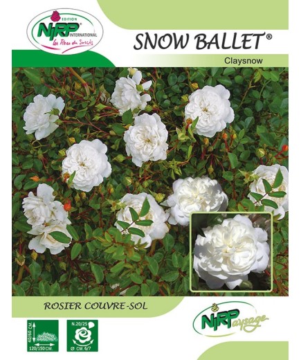 Rosier couvre-sol SNOW BALLET ® *