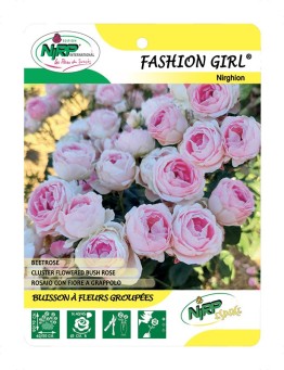 Fashion Girl® Nirghion