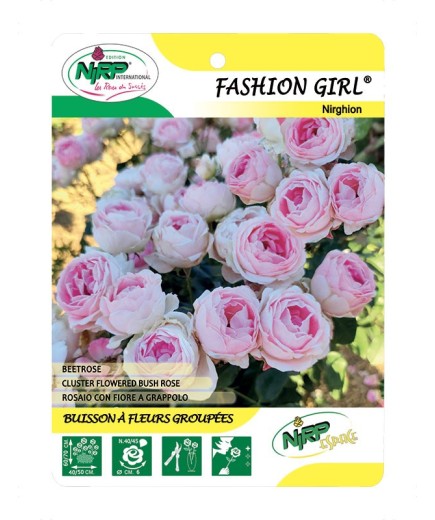 Fashion Girl® Nirghion