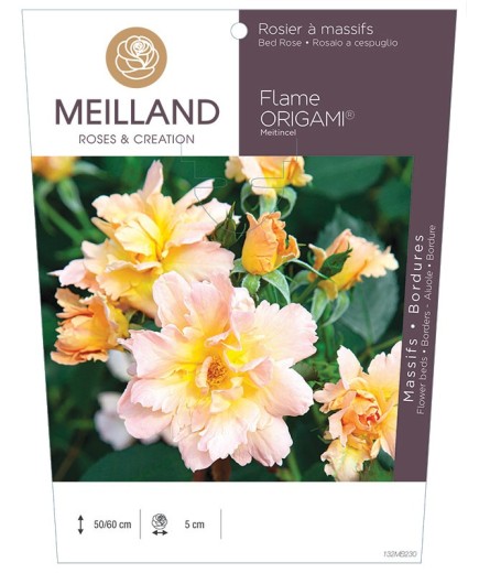 Rosier à massifs FLAME ORIGAMI ® Meitincel