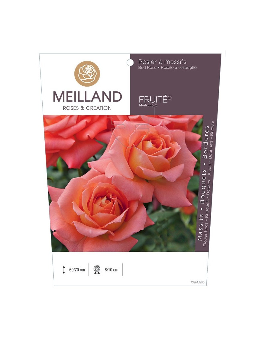 Rosier à massifs FRUITÉ ® Meifructoz