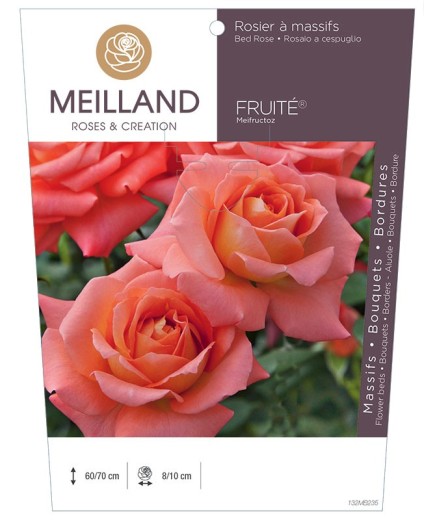 Rosier à massifs FRUITÉ ® Meifructoz
