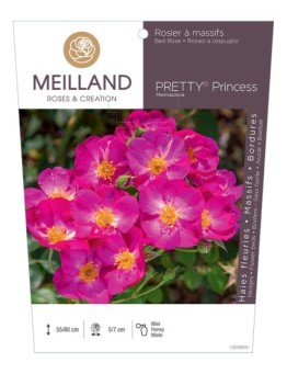 Rosier à massifs PRETTY® Princess Meimauleva
