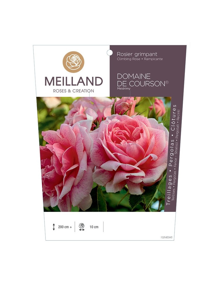Rosier grimpant DOMAINE DE COURSON ® Meidrimy