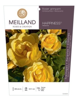 Rosier grimpant HAPPINESS ® Meilaclost