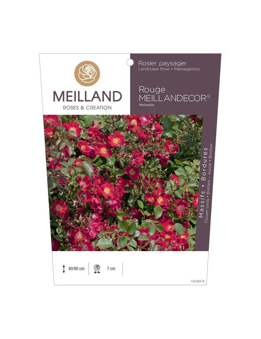 Rosier paysager Rouge MEILLANDECOR ® Meineble