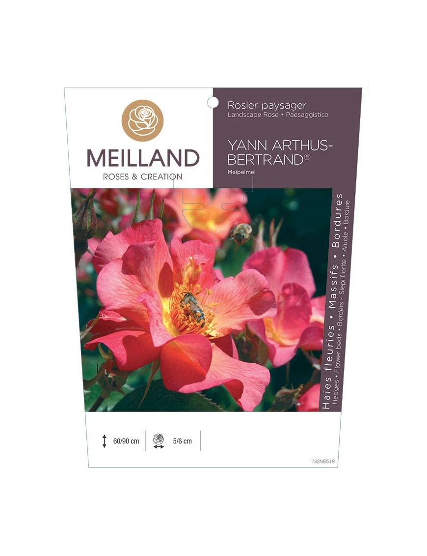 Rosier paysager YANN ARTHUS-BERTRAND ® Meipelmel