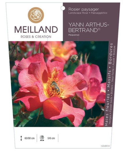 Rosier paysager YANN ARTHUS-BERTRAND ® Meipelmel