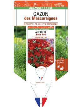 ZOYSIA tenuifolia voir GAZON des Mascaraignes