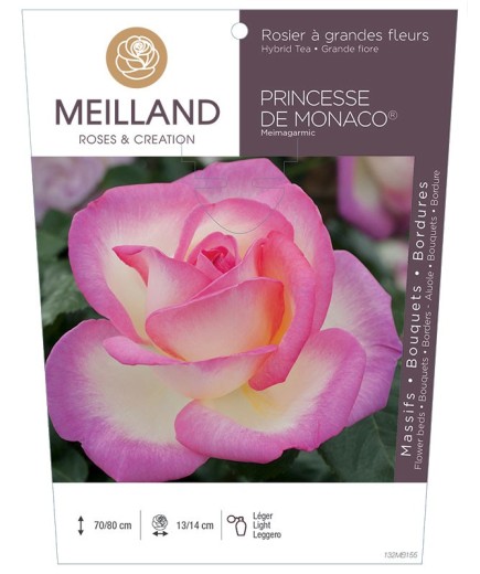 Rosier à grandes fleurs PRINCESSE DE MONACO ® Meimagarmic