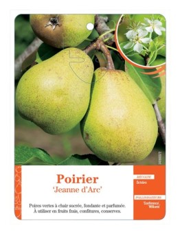 POIRIER ‘JEANNE D’ARC’