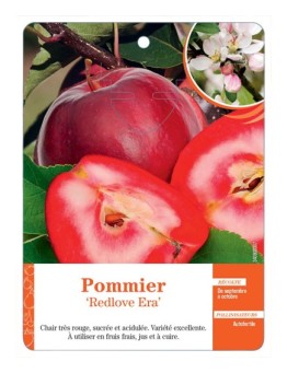 POMMIER ‘REDLOVE ERA’