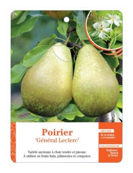 POIRIER ‘GÉNÉRAL LECLERC’ *
