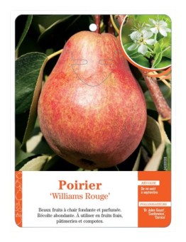 POIRIER‘WILLIAMS ROUGE’
