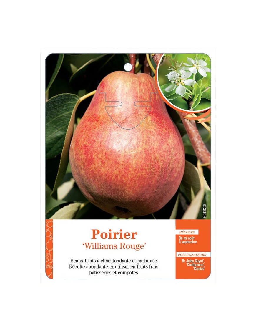 POIRIER‘WILLIAMS ROUGE’