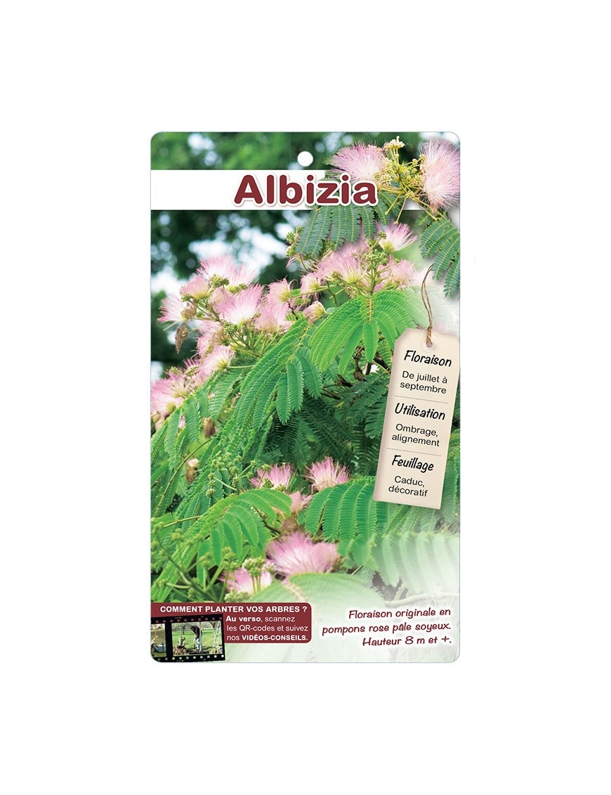 ALBIZIA *