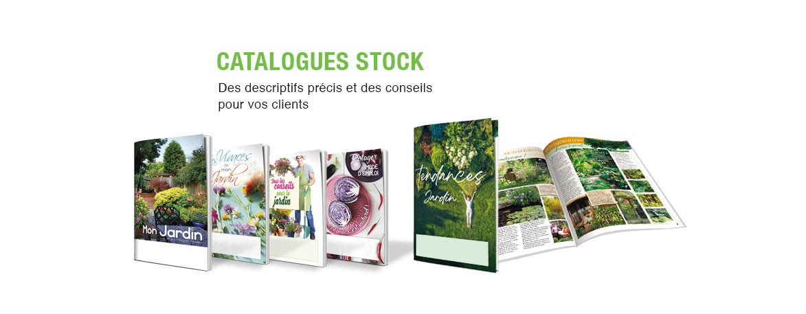 catalogues-stock